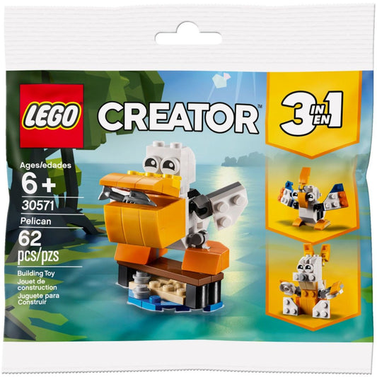 30571 | Pelican