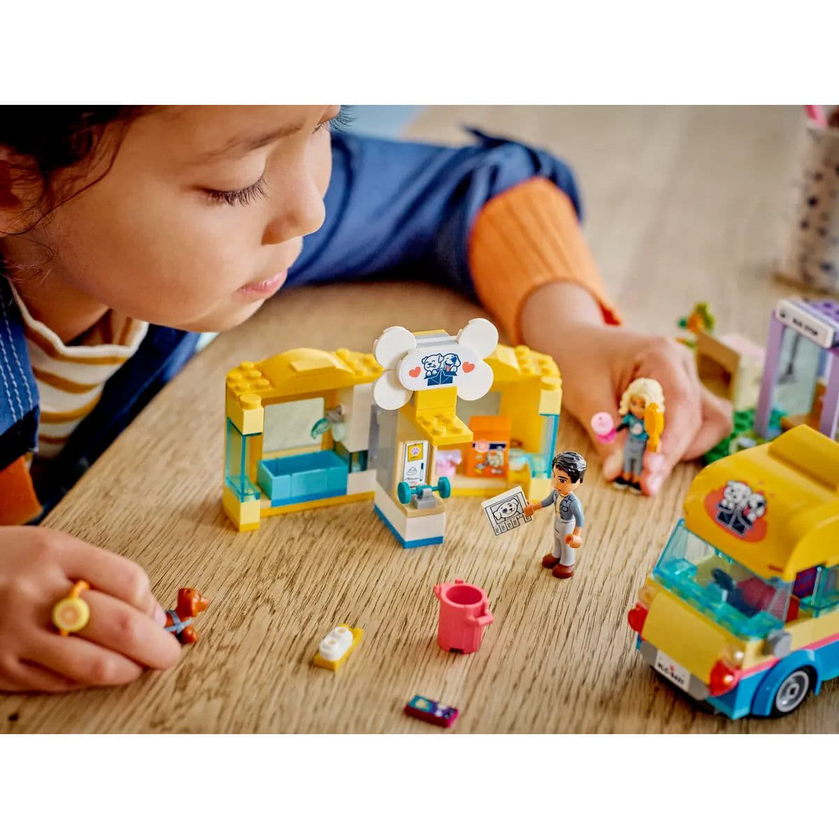 41741 | Dog Rescue Van