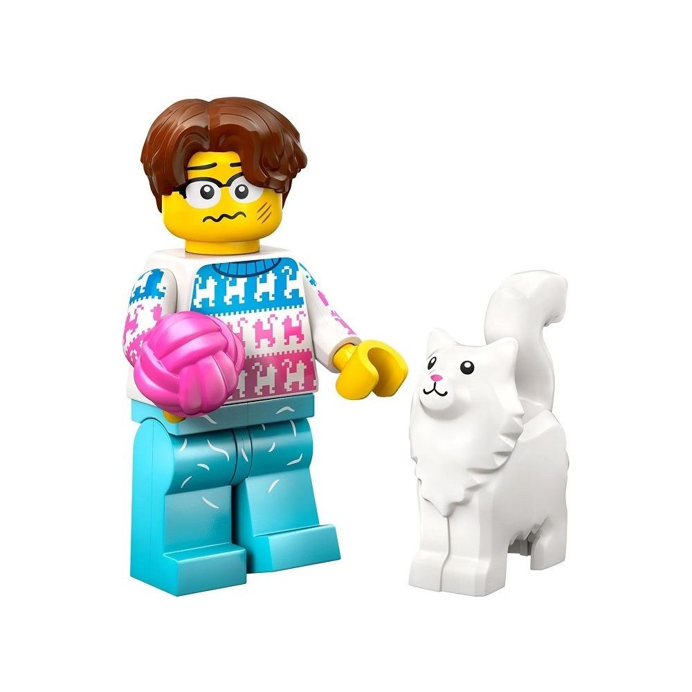 71048 | Minifigures Series 27