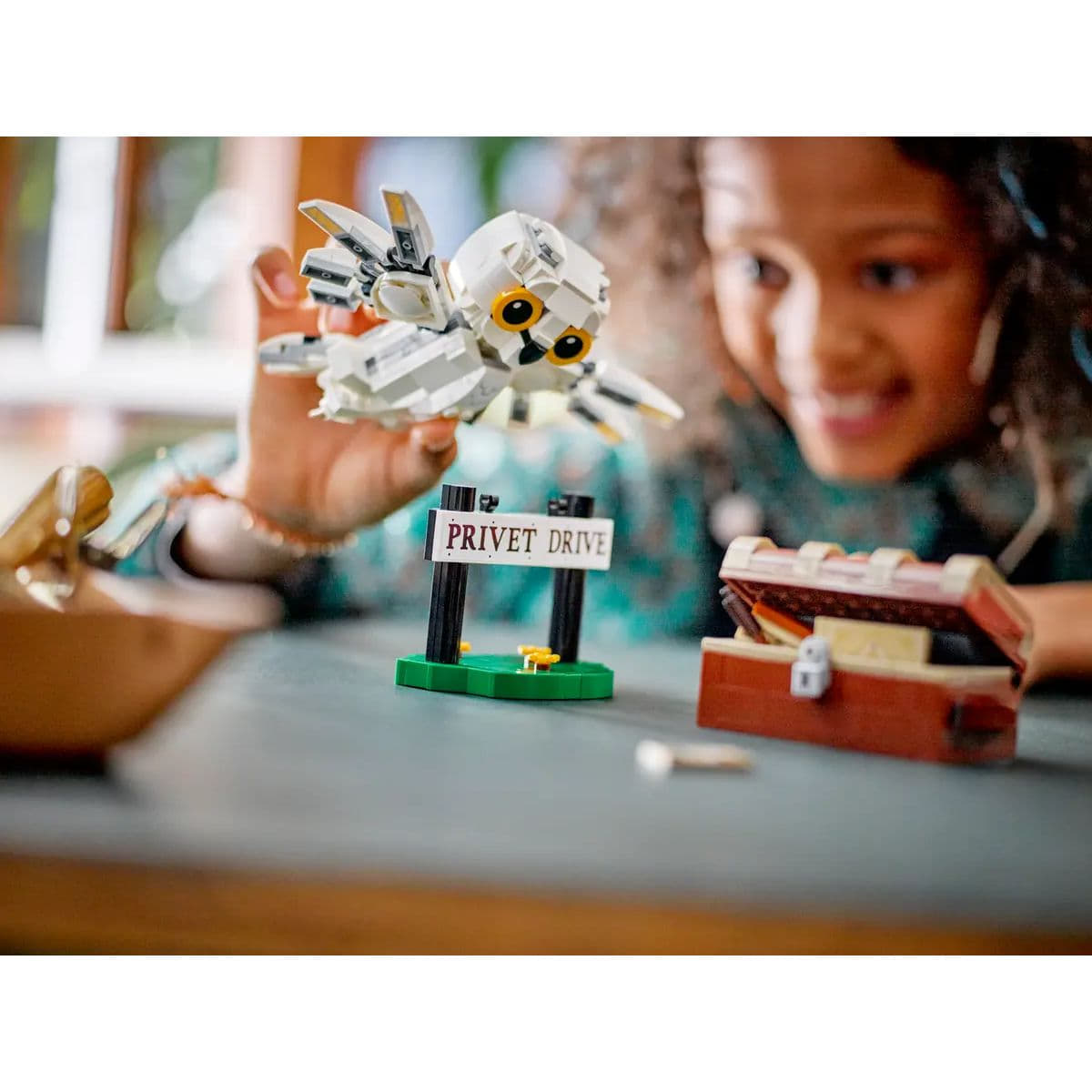 76425 | Hedwig at 4 Privet drive