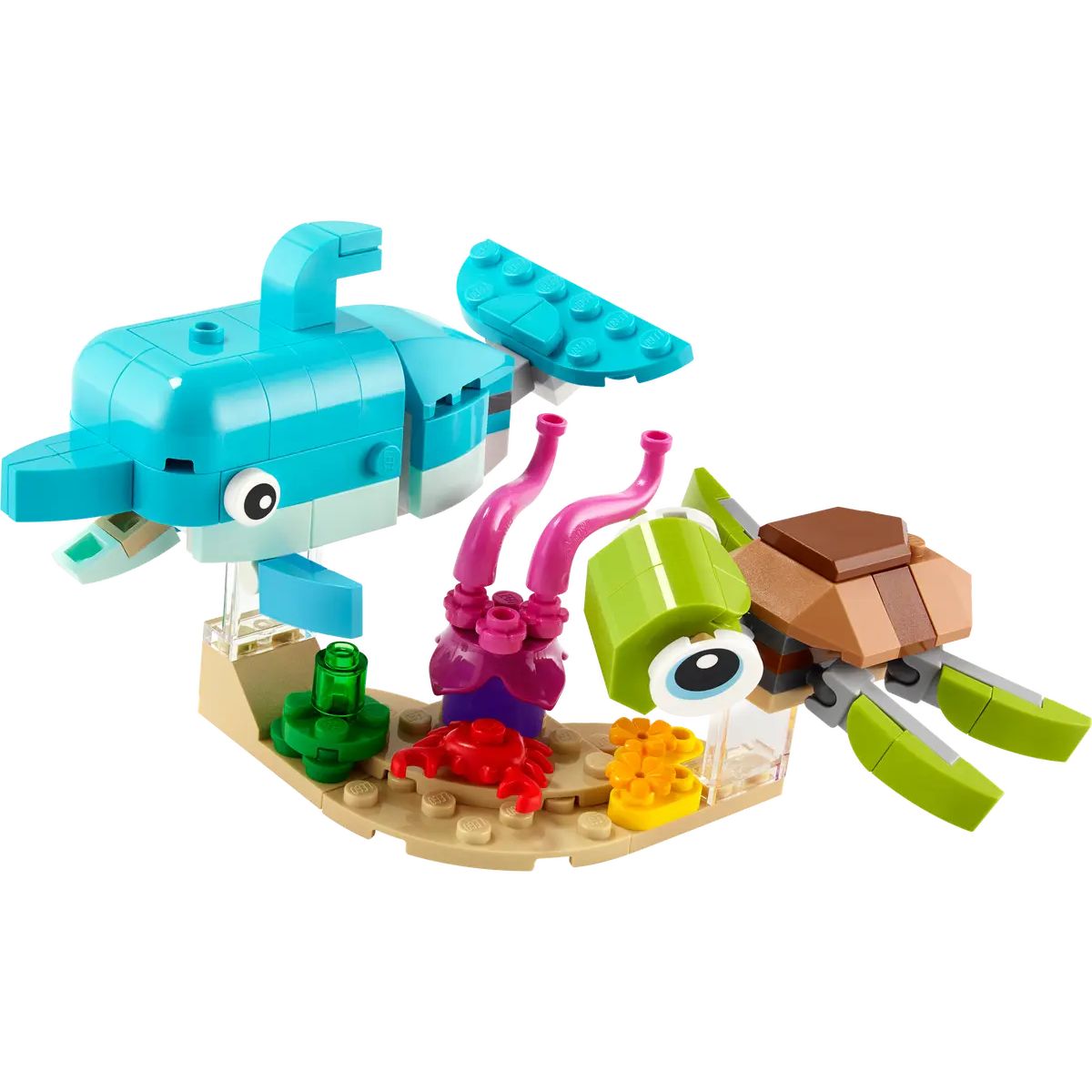 31128 | Dolphin and Turtle