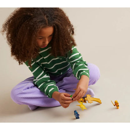71803 | Arin's Rising Dragon Strike